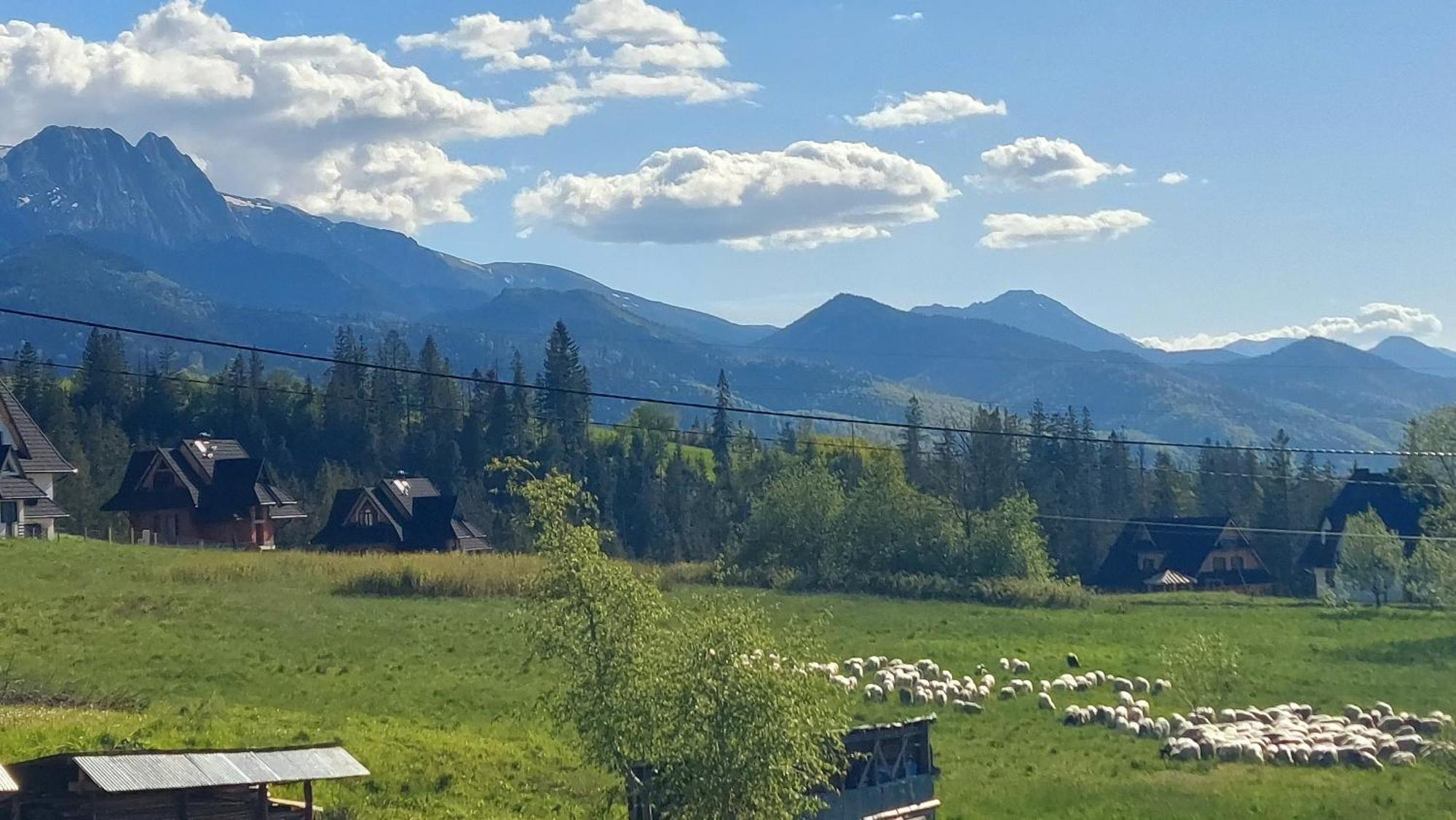 Hrube Закопане